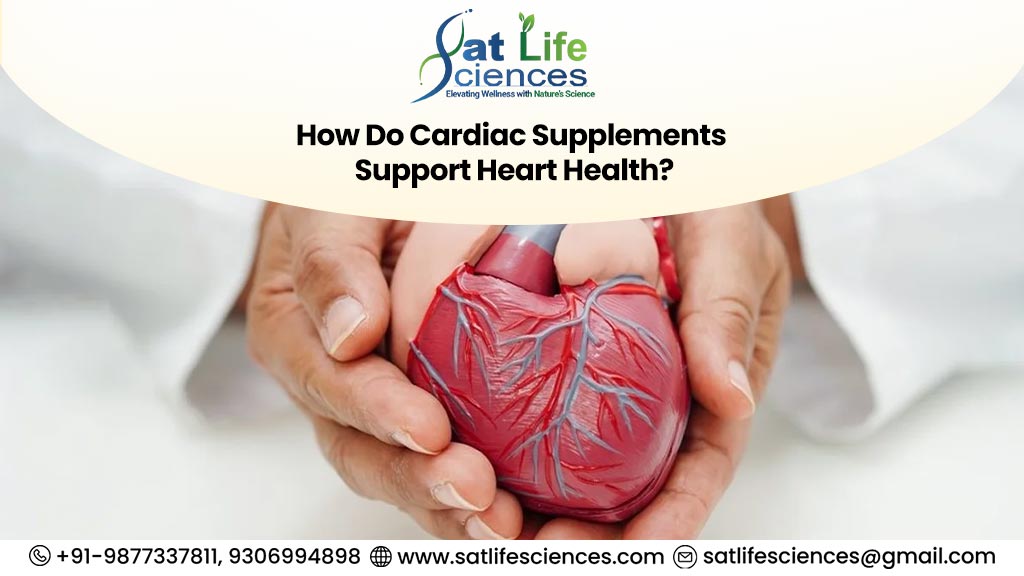 cardiac suplement